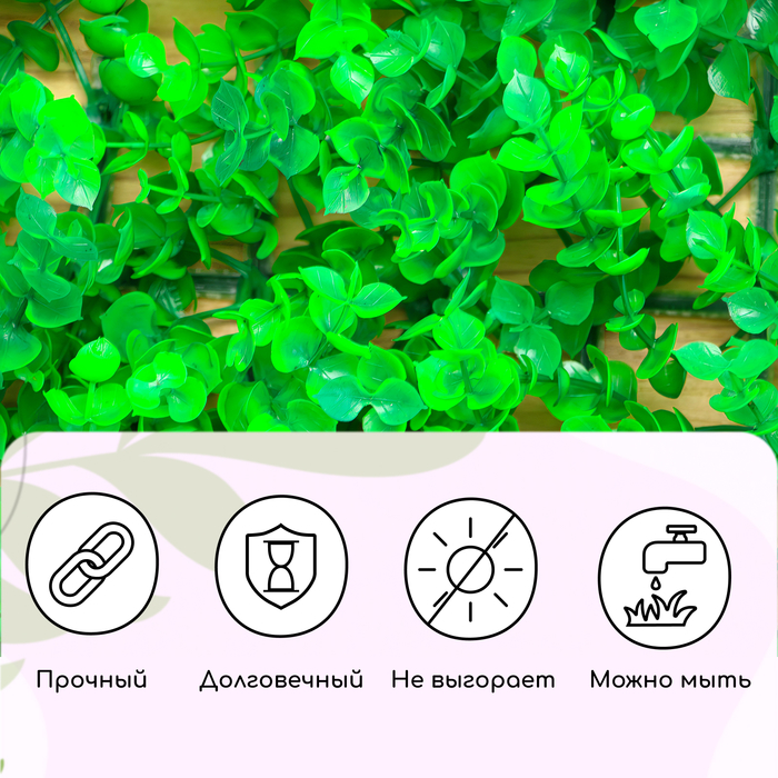 Декоративная панель, 60 × 40 см, «Самшит», Greengo Декоративная панель, 60 × 40 см, «Самшит», Greengo