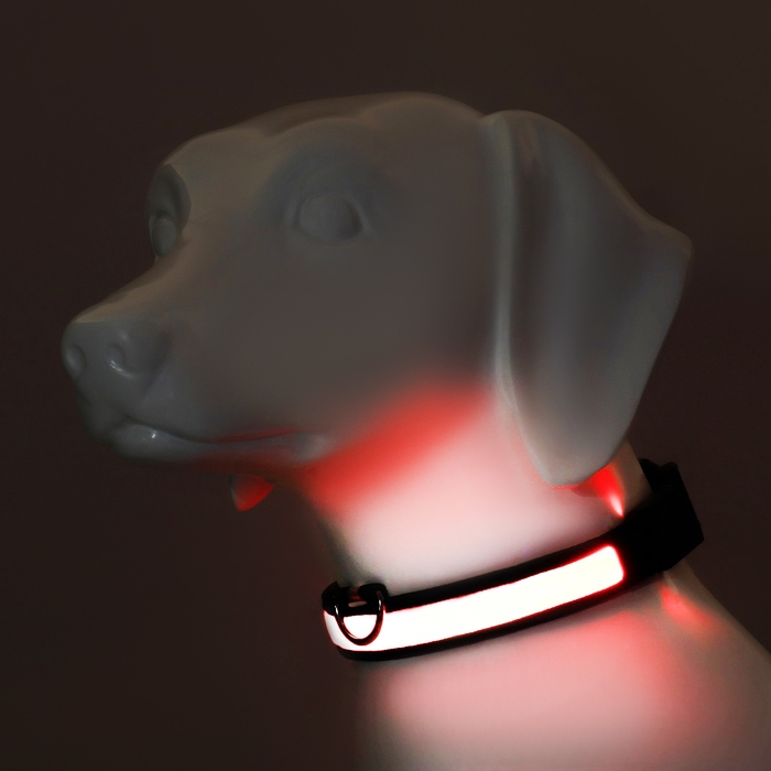 Ошейник с подсветкой Flash 3 режима свечения размер L, ОШ 45-52 х 2,5 см красный Ошейник с подсветкой Flash 3 режима свечения размер L, ОШ 45-52 х 2,5 см красный