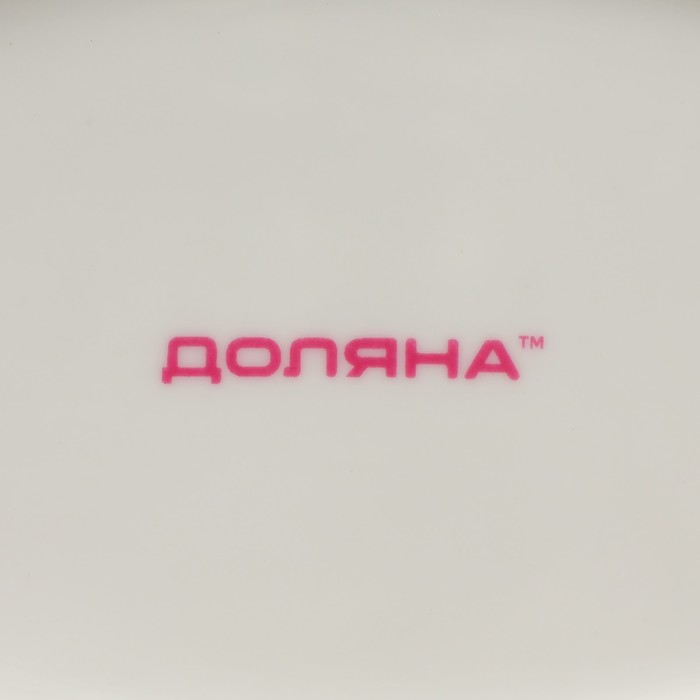 Блюдо фарфоровое Доляна «Зелёный сад», 22,5×12×1,7 см, цвет белый