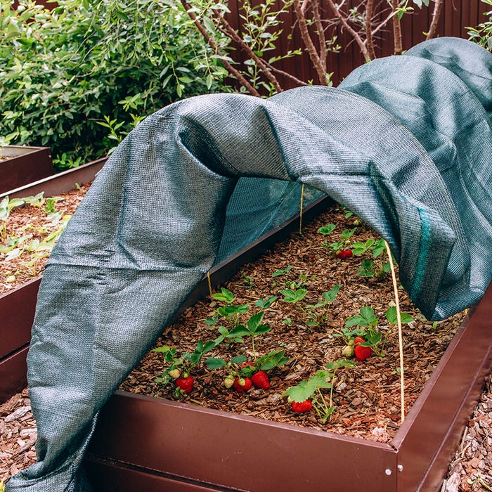 Парник от птиц, длина 4 м: сетка 6 × 2 м, затенение 80%; 4 дуги из стеклопластика, длина дуги 2 м, диаметр дуги 4 мм