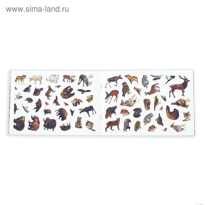 100 наклеек «Животные леса», 12 стр. 100 наклеек «Животные леса», 12 стр.
