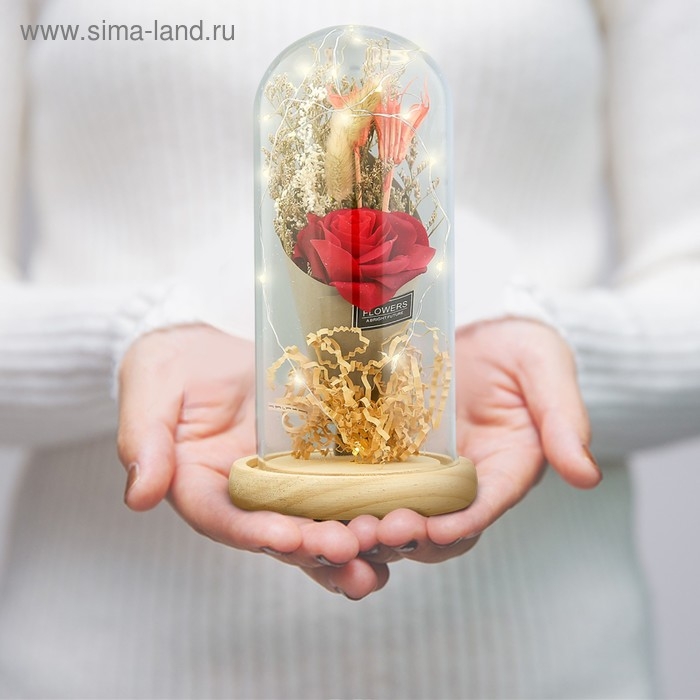 Ночник Ночник "Колба с розой в букете" LED 3ААА МИКС 23х11х11 см RISALUX