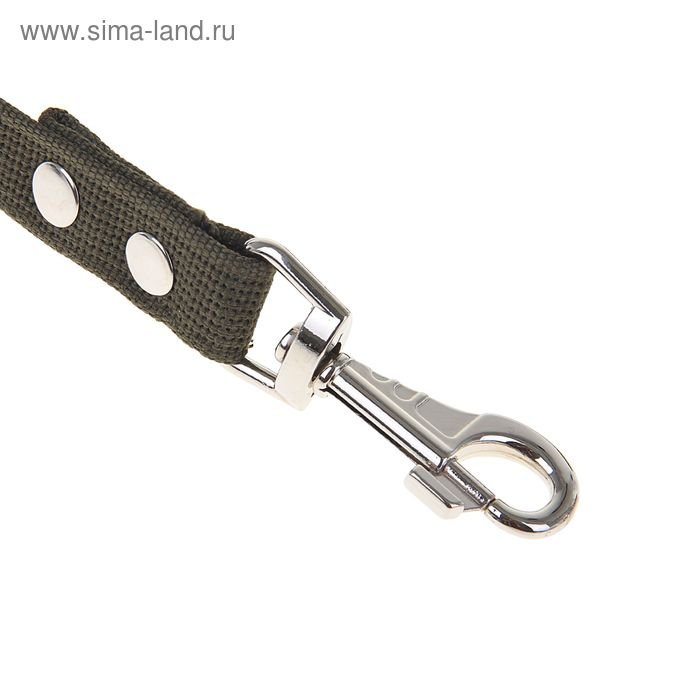 Поводок брезентовый 5 м х 2,5 см, тёмно-зелёный Поводок брезентовый 5 м х 2,5 см, тёмно-зелёный