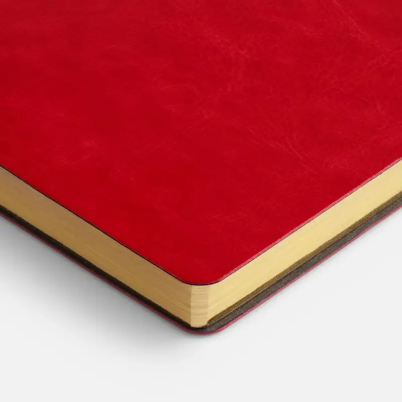 Ежедневник Nebraska Flex, недатированный, красный с золотистым Ежедневник Nebraska Flex, недатированный, красный с золотистым