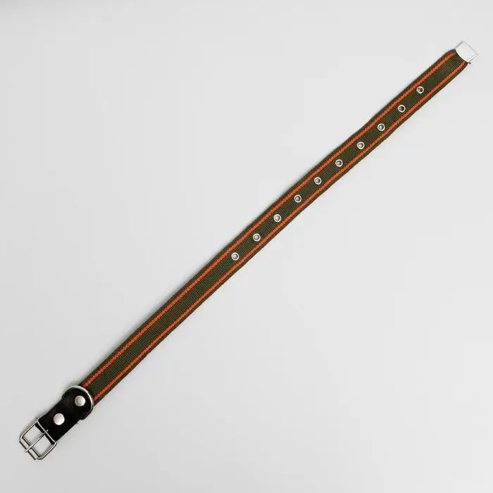 Ошейник брезентовый щенячий однослойный, 70 х 3 см, ОШ 32-66 см, хаки/оранжевый Ошейник брезентовый щенячий однослойный, 70 х 3 см, ОШ 32-66 см, хаки/оранжевый