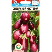 Семена Баклажан &laquo;Сибирский кистевой&raquo;, 20 шт., &laquo;Сибирский сад&raquo;