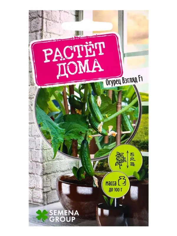 Семена  Семена "Растёт дома!" Огурец Взгляд, F1  5 шт.