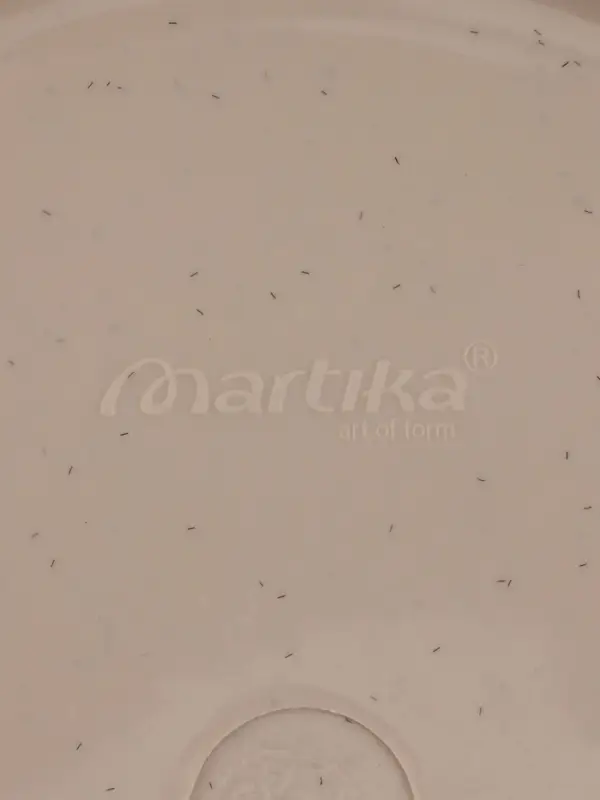 Ёмкость для миксера Martika, 2.6 л, пластик, МИКС