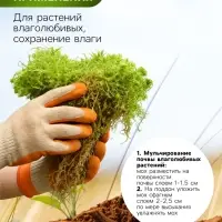 Мох сфагнум для террариумов &laquo;Рецепты дедушки Никиты&raquo; 3 л