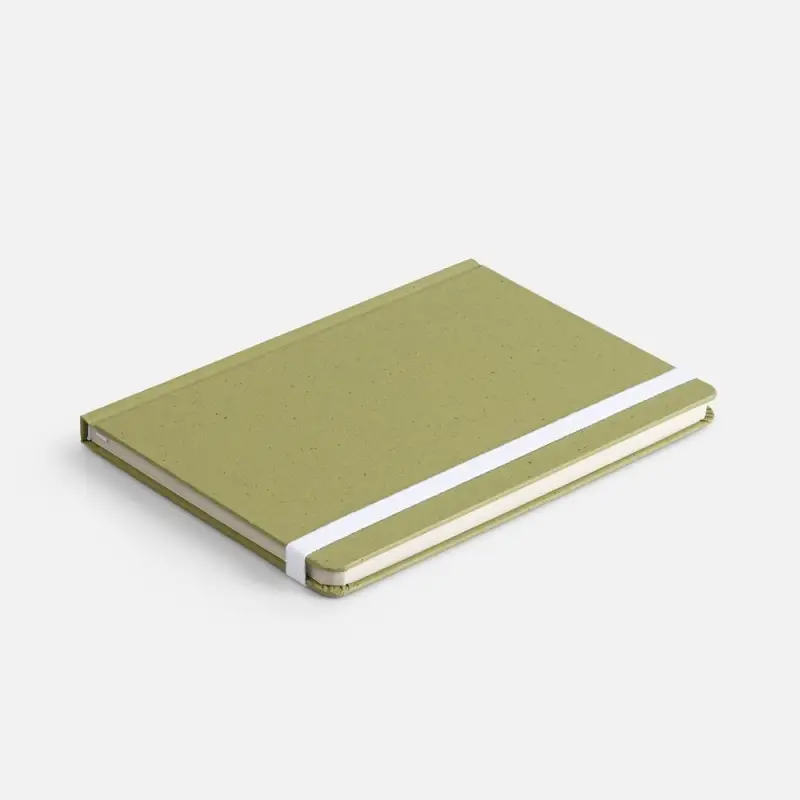 Блокнот Lactonica, зеленый Блокнот Lactonica, зеленый