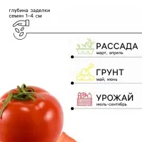 Семена Томат балконный &laquo;Монгольский карлик&raquo;, детерминантный, низкорослый, 10 шт., &laquo;Агрофирма АЭЛИТА&raquo;