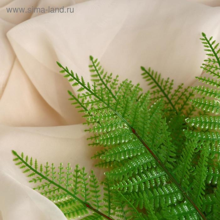 Букет Букет "Папоротник" 30 см