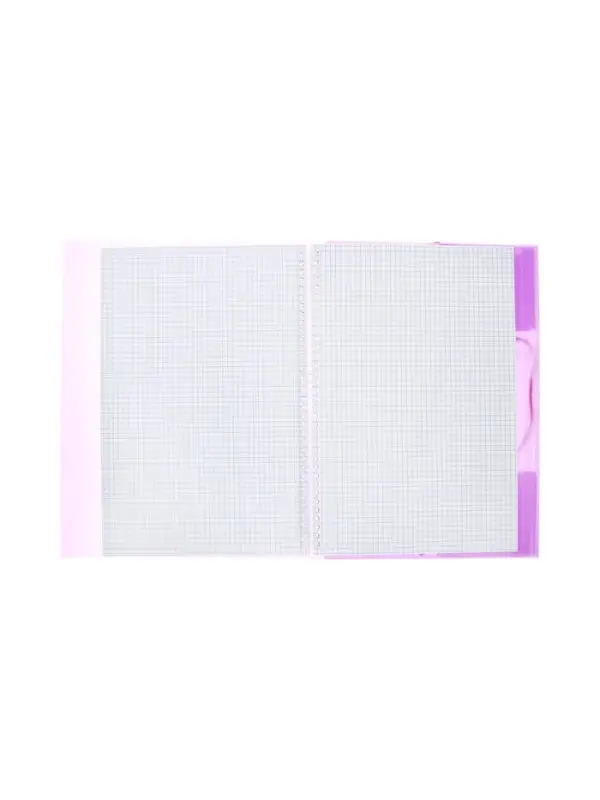 Тетрадь-папка А4, 80 листов в клетку Hatber FolderBook, пластиковая обложка, на закрытом гребне, с клапаном на резинке, фиолетовая