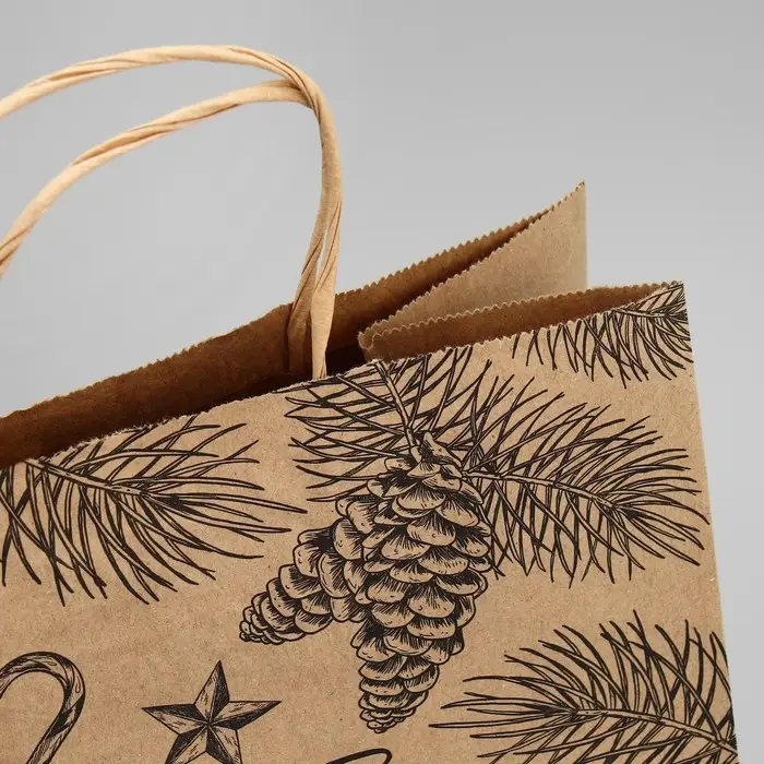 Пакет подарочный новогодний крафтовый «Поздравляю с Новым годом», 24 х 28 х 14 см Пакет подарочный новогодний крафтовый «Поздравляю с Новым годом», 24 х 28 х 14 см