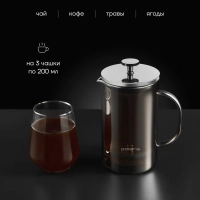 Френч-пресс Stein-600FP с двойными стенками