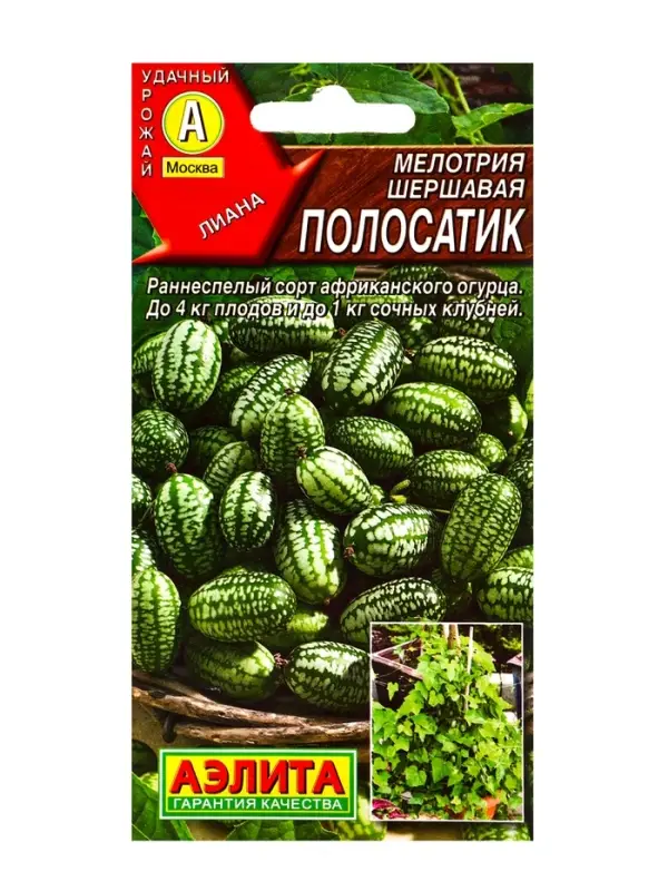 Семена Мелотрия (мышиная дыня) &laquo;Полосатик&raquo;, 0.03 г, &laquo;Аэлита&raquo;