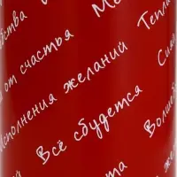 Термос с подвесом «Всё сбудется», 500 мл