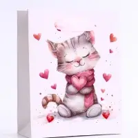 Пакет подарочный вертикальный «Сердечный котик», S 12×15×5.5 см