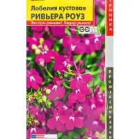 Семена цветов Лобелия кустовая &laquo;Ривьера Роуз&raquo;, драже, 8 шт., &laquo;Агроника&raquo;