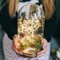 Гирлянда &laquo;Нить&raquo; 5 м, роса, IP20, серебристая нить, 100 LED, 2 режима, от батареек AAх3, свечение тёплое белое