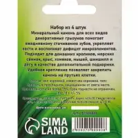 Минеральный камень для грызунов &laquo;Пижон&raquo;, фрукты, 18 г, набор 4 шт.