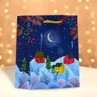 Пакет подарочный «Зимняя ночь», 11.5×14.5×6.5 см