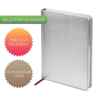 Ежедневник недатированный Sidney Nebraska, А5, 136л, серебро 3-128/10