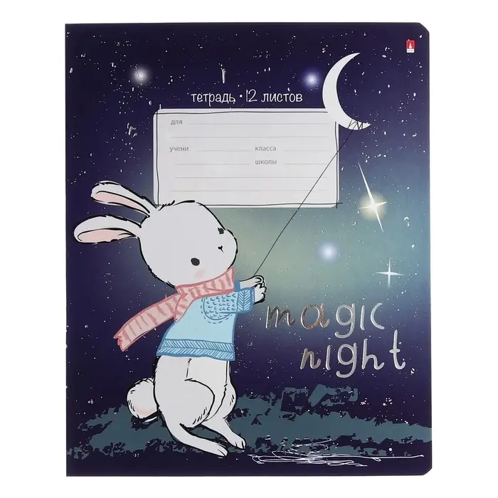 Тетрадь 12 листов в линию MAGIC NIGHT, обложка мелованный картон, фольгирование, МИКС