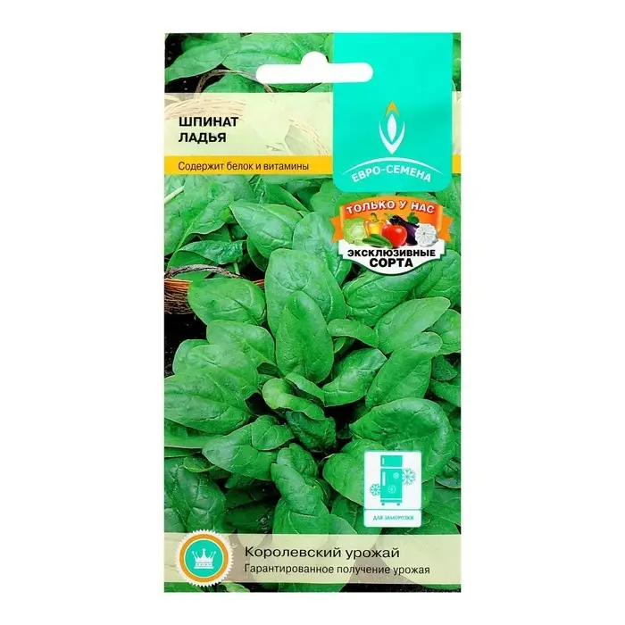 Семена Шпинат Ладья раннеспелый, розетка листьев крупная, диетичный 1 г. Семена Шпинат Ладья раннеспелый, розетка листьев крупная, диетичный 1 г.