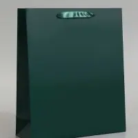 Пакет подарочный ламинированный, упаковка, &laquo;Изумрудный&raquo;, M 26&times;30&times;9 см