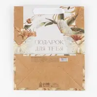 Пакет подарочный крафтовый вертикальный, упаковка, &laquo;Лилия&raquo;, ML 23 х 27 х 11.5 см