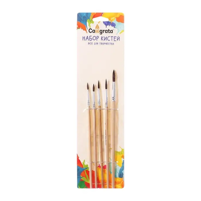 Набор кистей для рисования, белка, 5 штук: № 1, 2, 3, 4, 5, круглые, деревянная ручка, международный размер