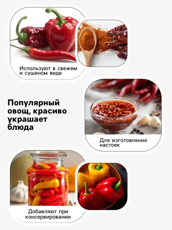 Семена Перец, &laquo;Беладонна&raquo;, F1, 5 шт., Seminis, &laquo;Агрос&raquo;