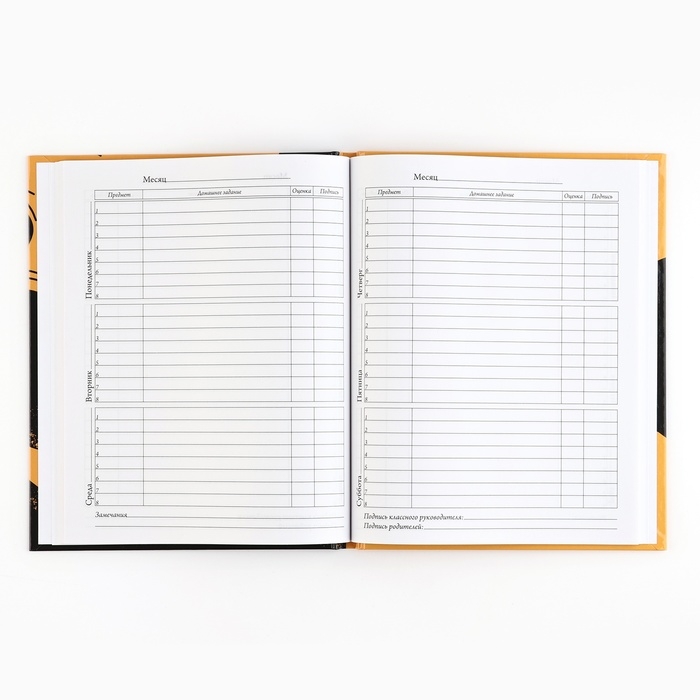 Дневник школьный 5-11 класс, в твердой обложке, 48 л. «1 сентября: Football»