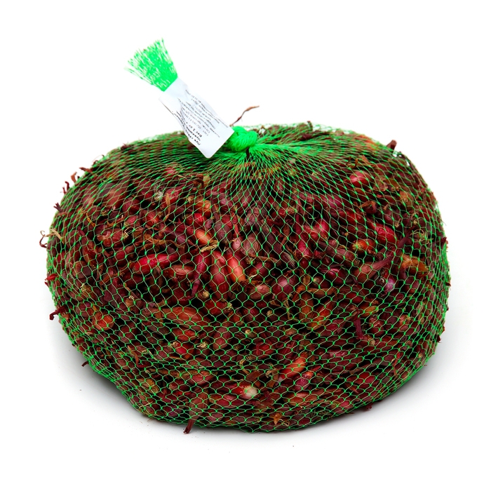 Лук севок Кармен , р-р 18-21, 1 кг, Весна 2025 Лук севок Кармен , р-р 18-21, 1 кг, Весна 2025