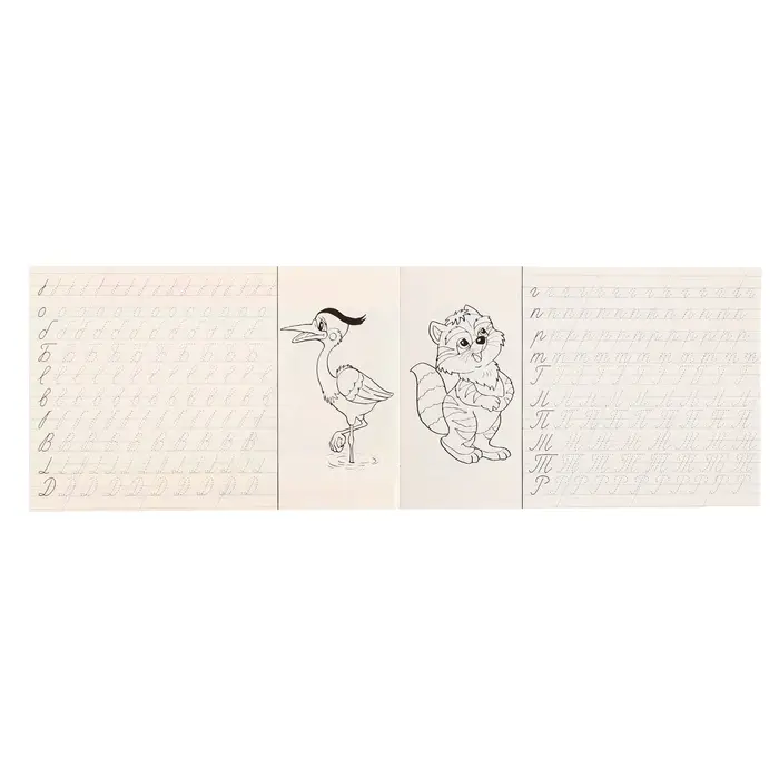 Раскраска-пропись «Учимся писать буквы»