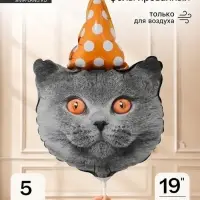 Воздушный шар фольгированный 19" &laquo;Кот в колпаке Британский&raquo; набор 5 штук