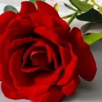 Цветы искусственные "Роза Аманда" бархат, d-11 см 58 см, красный