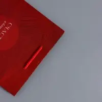 Пакет подарочный "С уважением!" ламинированный 18 х 22,3 х 10 см