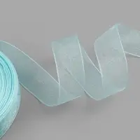 Лента капроновая, 20 мм, 20&plusmn;1 м, светло-голубая №148