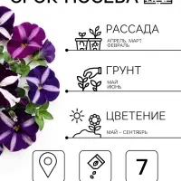 Семена цветов Петуния &laquo;Хиросис синяя с белым&raquo; F1, крупноцветковая, гранулы, 7 шт.