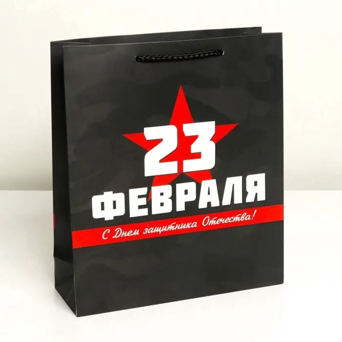 Пакет подарочный ламинированный, упаковка, &laquo;С 23 февраля&raquo;, M 26&times;30&times;9 см