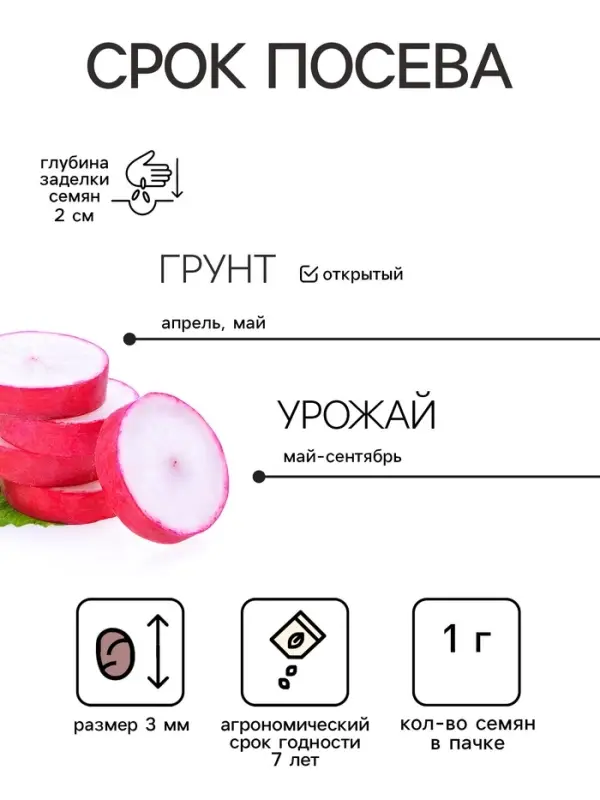 Семена Редис &laquo;Аскания&raquo;, 1 г, скороспелый, &laquo;Золотая Сотка Алтая&raquo;