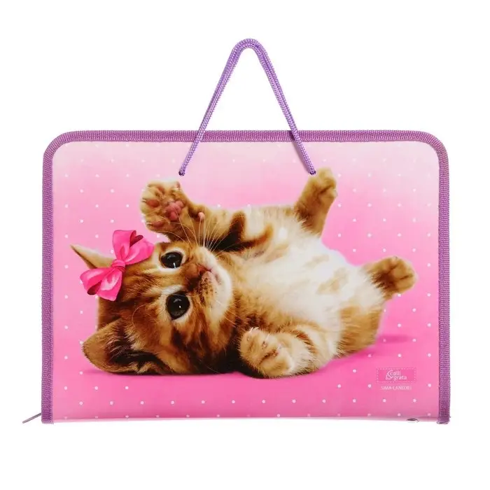 Папка для труда, А4, пластиковая, 32.5&times;23&times;2.5 см &laquo;Самая милая&raquo;