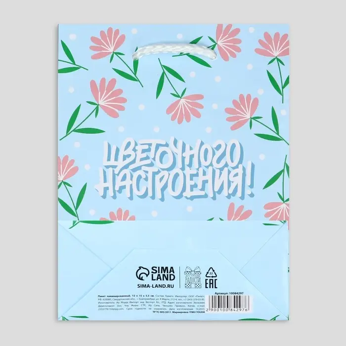 Пакет подарочный ламинированный, упаковка, «Цветочного настроения», S 12 х 15 х 5.5 см Пакет подарочный ламинированный, упаковка, «Цветочного настроения», S 12 х 15 х 5.5 см