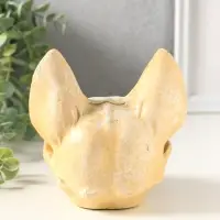 Копилка для денег &laquo;Череп сфинкса&raquo;, 14&times;14&times;13 см, натуральный