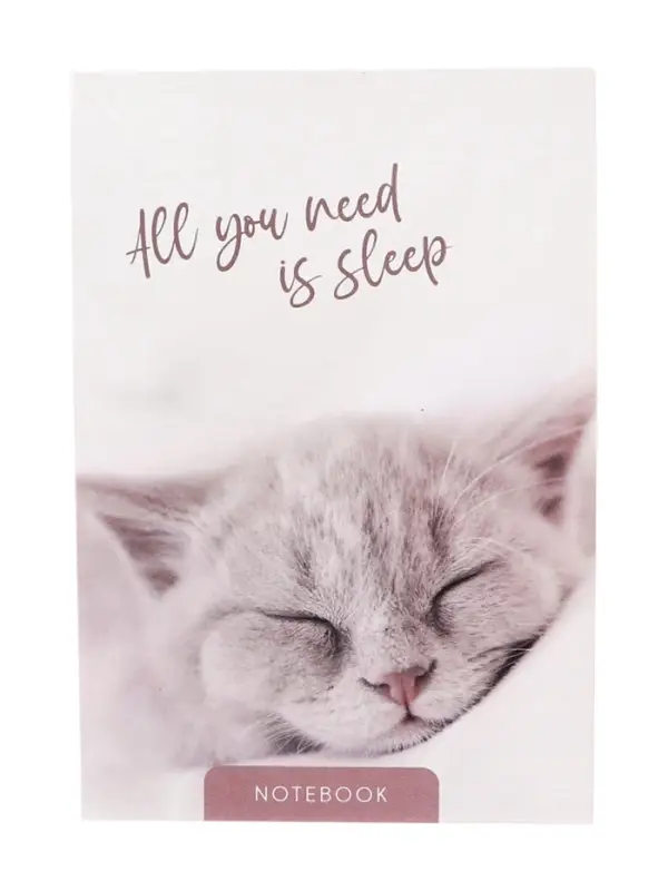 Набор блокнотов А6 40л кл на скобе Сладкий сон, мел карт, бл офс, 4В 20шт