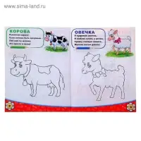 Раскраска детская &laquo;Домашние животные&raquo;, 12 стр.