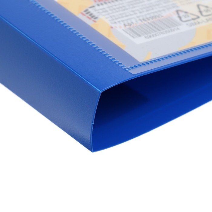 Папка-портфолио А4, Calligrata  Папка-портфолио А4, Calligrata "Лучшие друзья", пластиковая, на 2 кольцах, для дошкольника, без вкладышей