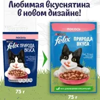 Влажный корм Felix Природа вкуса для кошек, лосось, 75 г